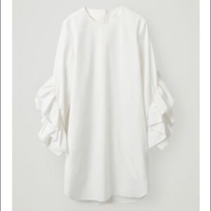 COS Dress with Sleeve Ruffles NWT Size 6